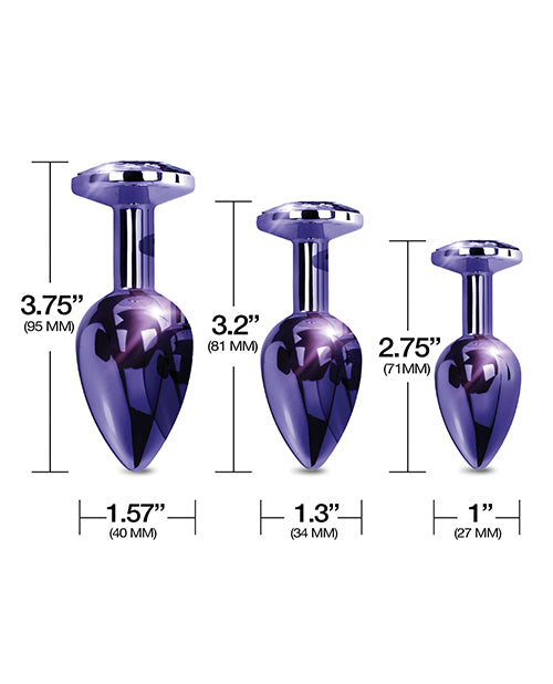 
            
                Load image into Gallery viewer, Nixie Metal Butt Plug Trainer Set W/inlaid Jewel - Purple Metallic
            
        
